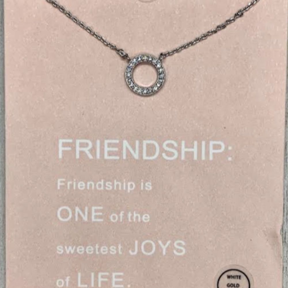 Silver Friendship Fashion Jewelry Necklace